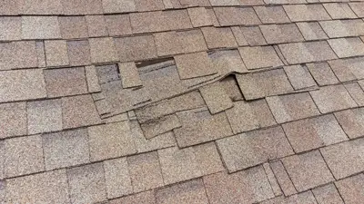 Damaged Roofing