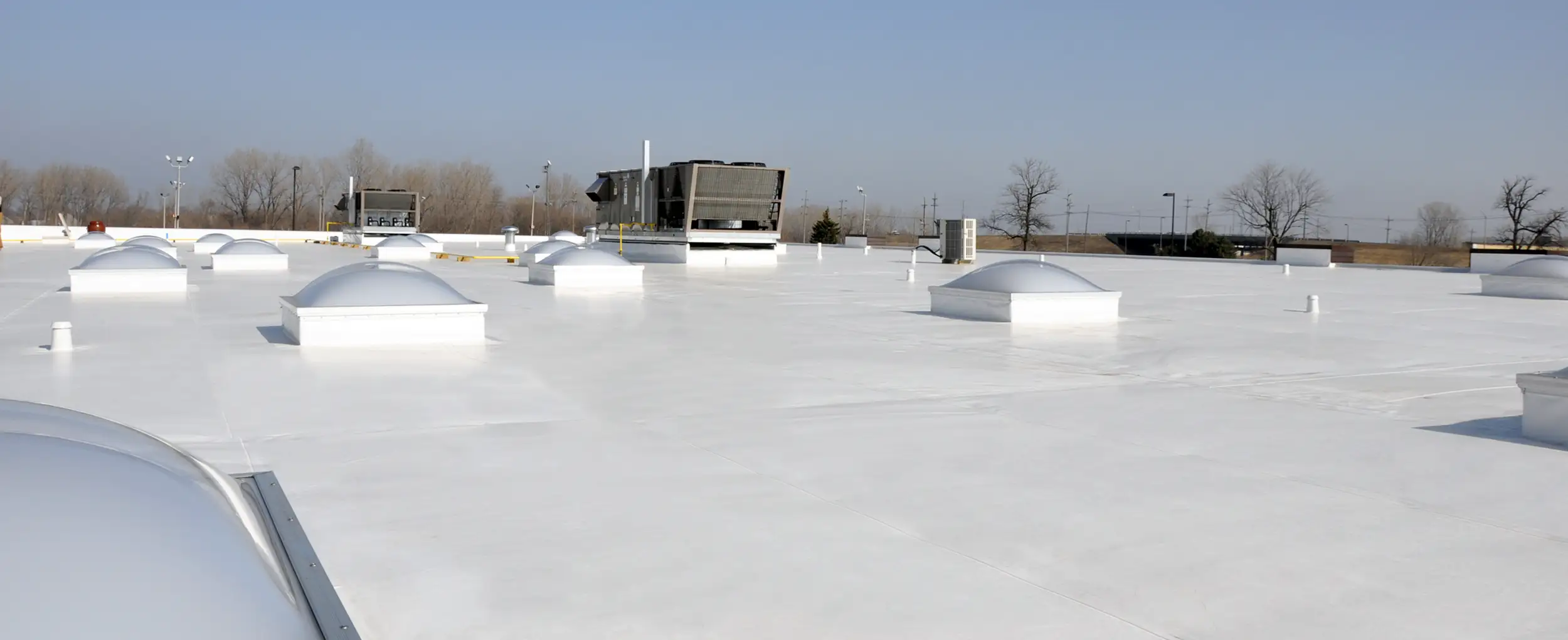 Clean Roof with Skylights